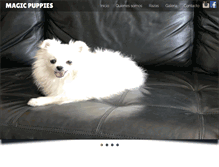 Tablet Screenshot of magicpuppies.net